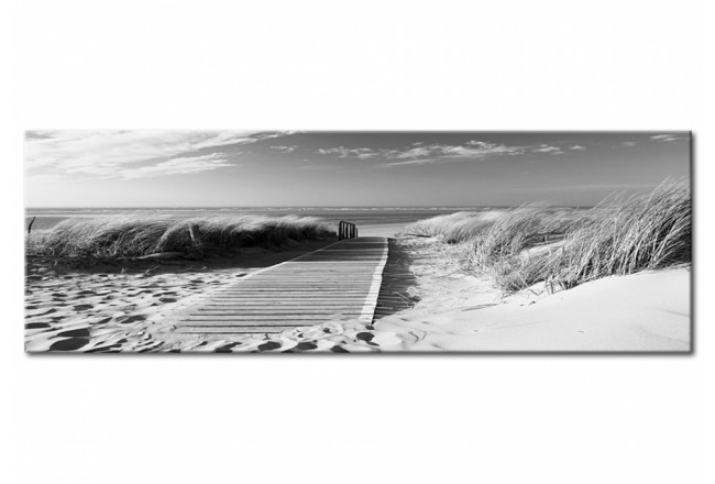 cuadro acrílico en blanco y negro playa mar