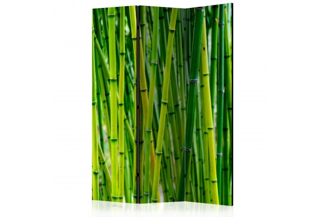 biombo naturaleza bambú verde