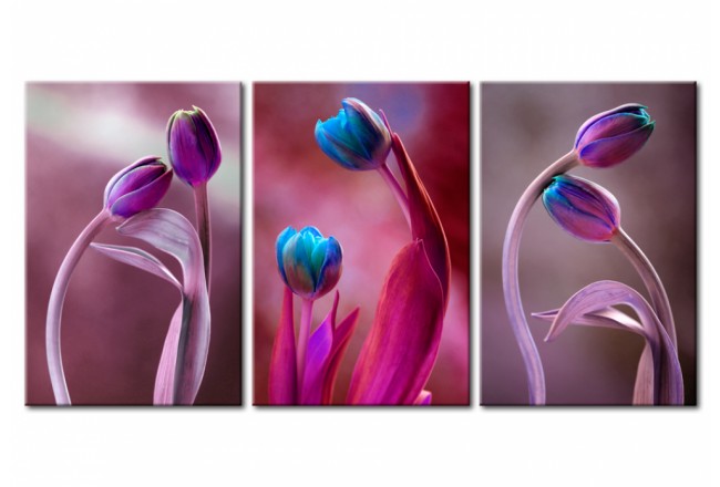 cuadro de flores tulipanes