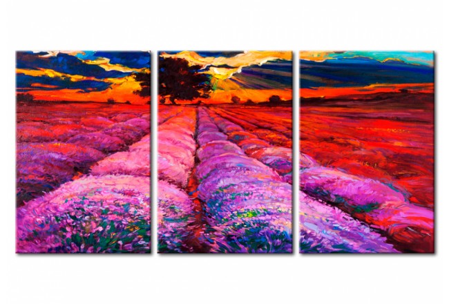 cuadro campo flores de lavanda colores puesta de sol