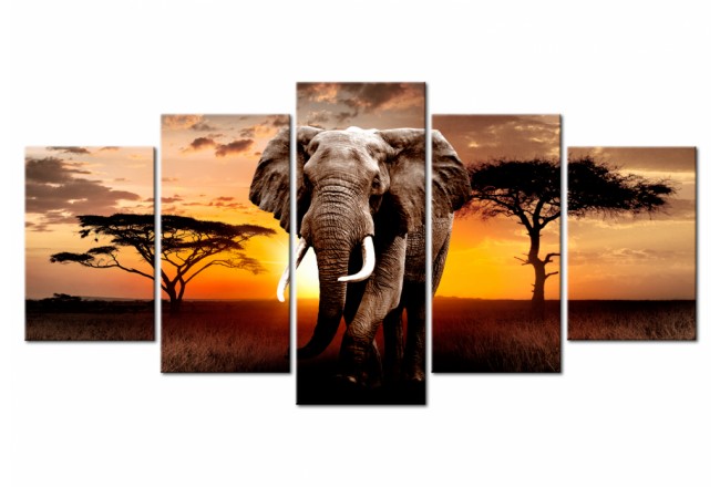 cuadro para baño en vidrio acrílico animales áfrica elefante