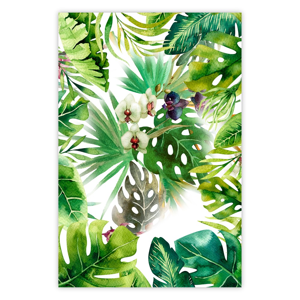 póster tropical sombras