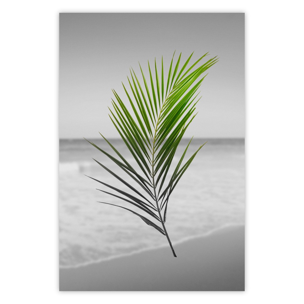póster hojas de palmera