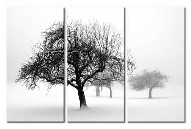 cuadro invierno árboles nieve