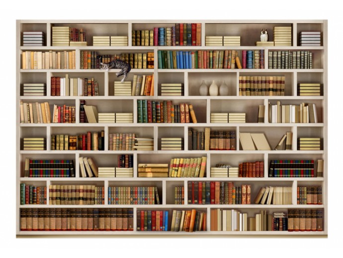 fotomural biblióteca estantería libros estantes